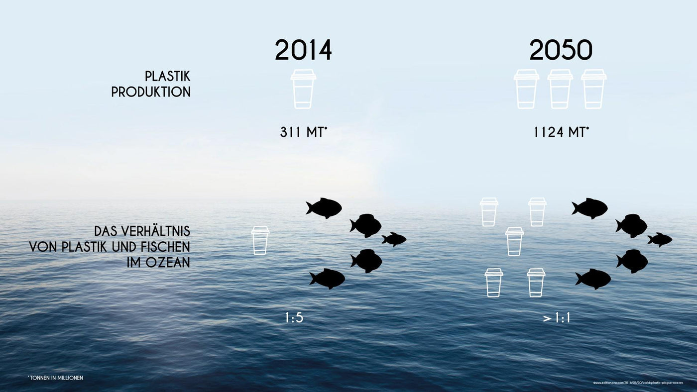 Eine Geschichte von Plastik und Fischen im Ozean