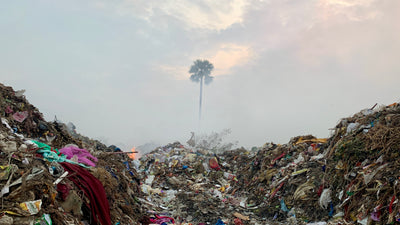 Foamie x Cleanhub Inforeihe zum Tag der Erde | Wie kommt Plastik ins Meer?